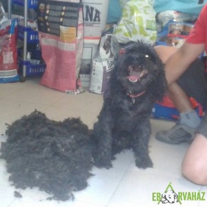 11229962_950304341688882_8571538515348071595_n 11229962_950304341688882_8571538515348071595_n