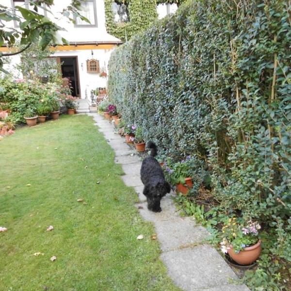 12077306_1025959184114047_596040210_n