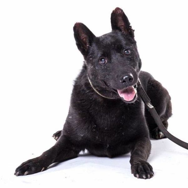 14287598_1198533653532615_178117033_n 14287598_1198533653532615_178117033_n