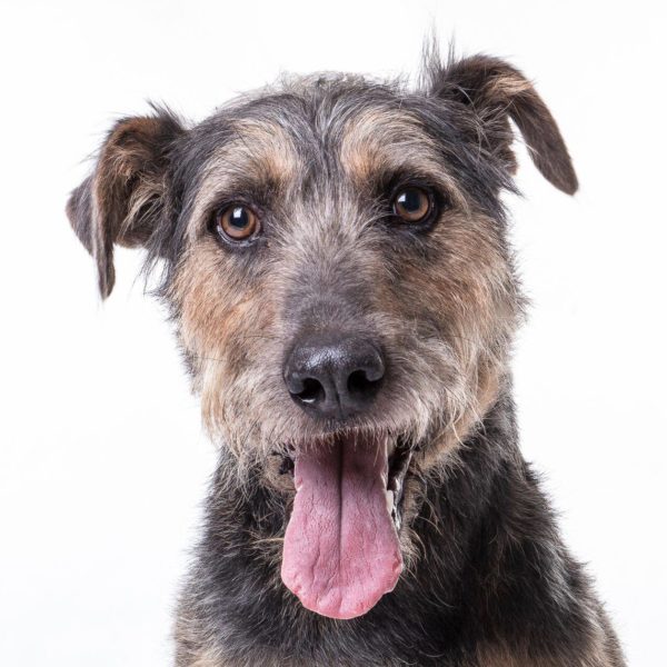 14242512_668751579945065_8052400839362584833_o