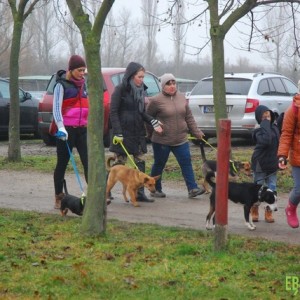 Karácsony2015_04 Karácsony2015_04