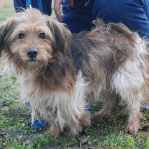 Mütyűr02 Mütyűr02