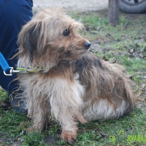 Mütyűr04 Mütyűr04