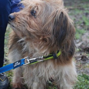 Mütyűr05 Mütyűr05