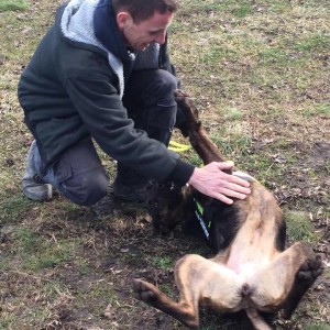 12495157_563786840441540_3776466681390990227_n