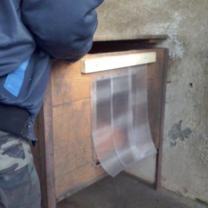 8491_562721290548095_7698609931817186601_n