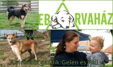 12742706_575896592563898_8507338233589156502_n