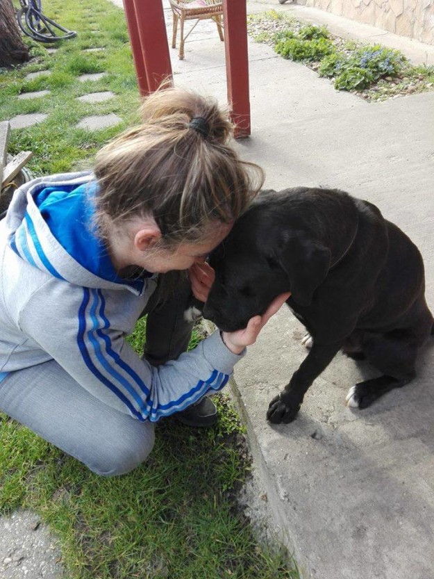 12512227_596262813860609_5799758779765528625_n