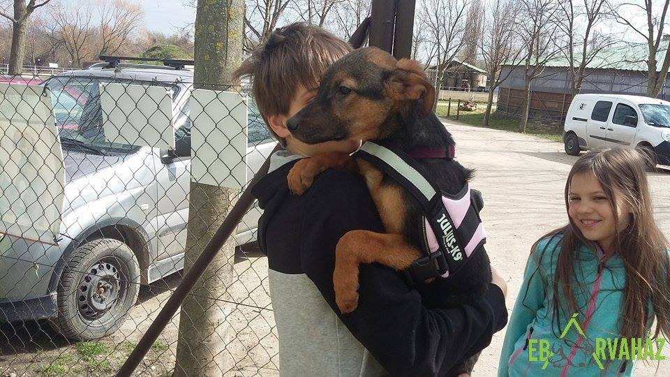 12718374_590240021129555_2988424992061090521_n