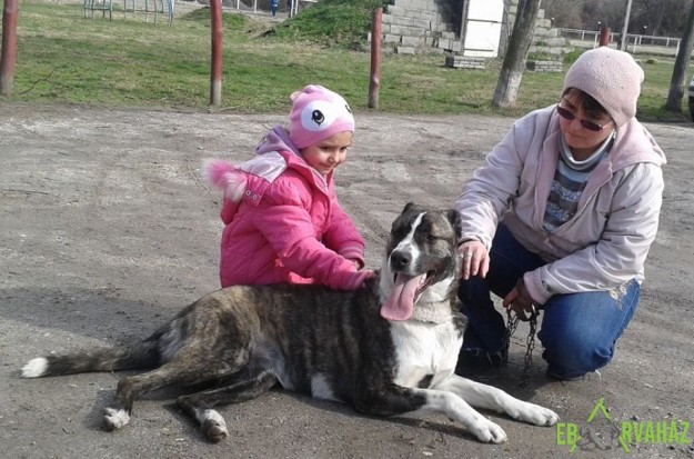 12805757_583419555144935_3919922641552050925_n