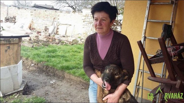 12932655_597823053704585_3707160015284721452_n