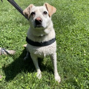 444964893_796773622568362_6916473669264734197_n