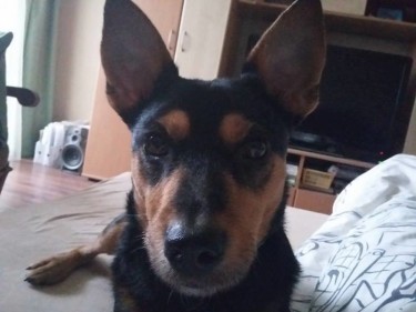 9168_587114161442141_5821354296750047784_n