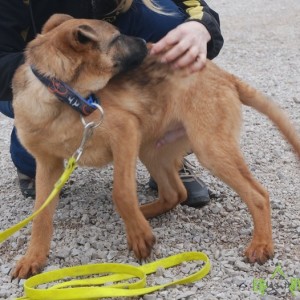 Alexander05 Alexander05