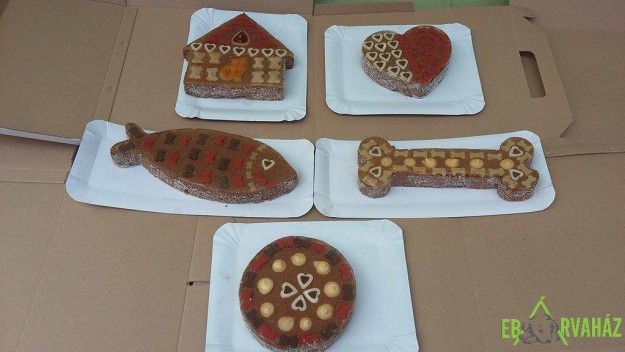 13048200_606899606130263_2342387770861581055_o