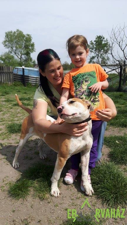 13094284_608154209338136_2562110579573278611_n