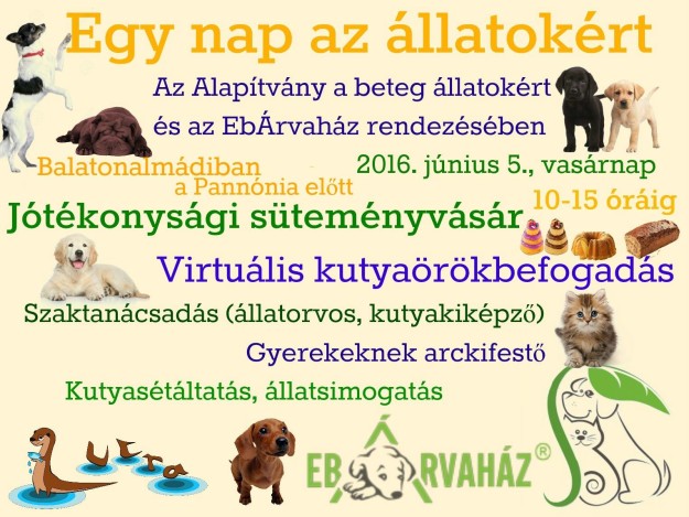 12322606_1033949143365859_3693512265419316993_o