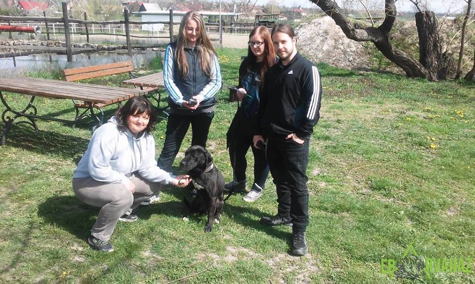 12919665_599956600157897_8957913087778721100_n