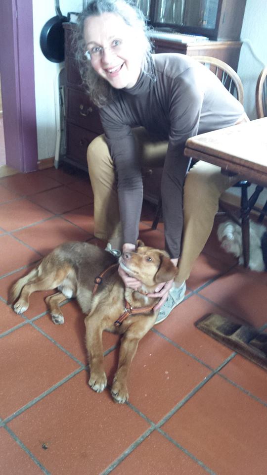 13124577_611898658963691_8079741145341358127_n