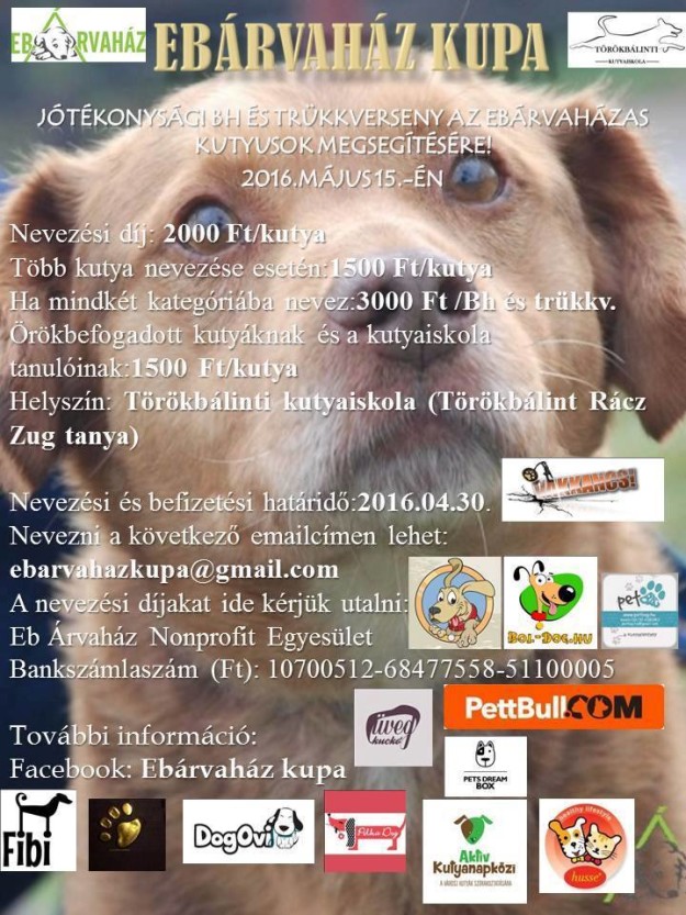 13139317_611046249048932_8547878846528355295_n