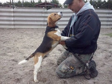 13177099_615846045235619_3364593698987534689_n