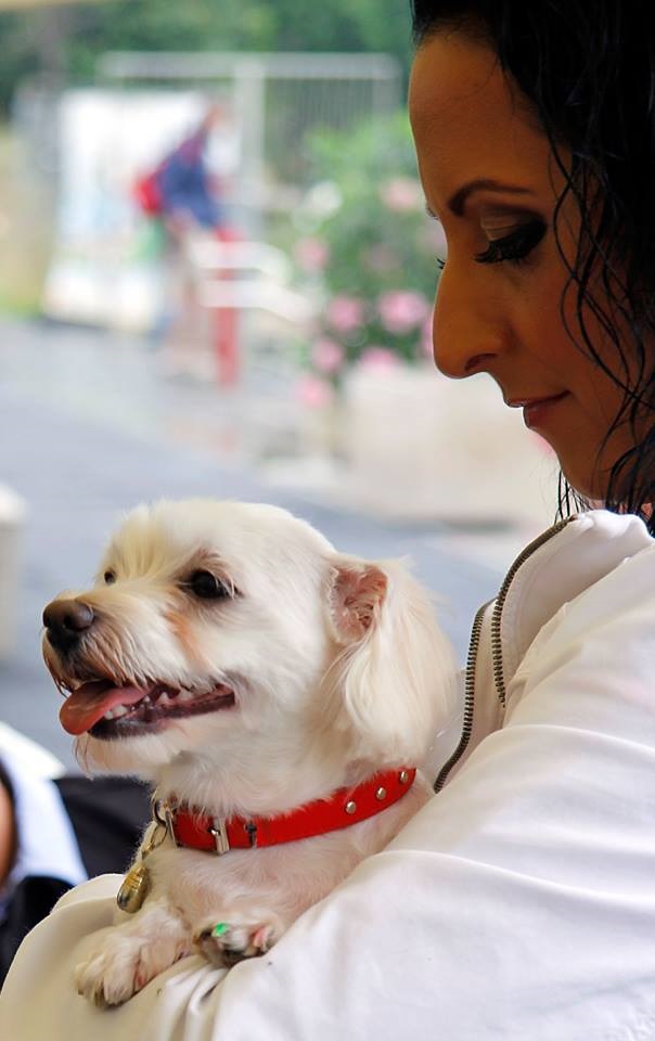 kutyas_tavi_party_eva