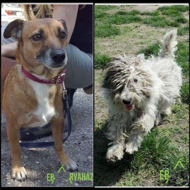 pixiz-30-05-2016-15-11-47