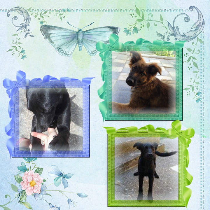 pixiz-31-05-2016-15-57-48