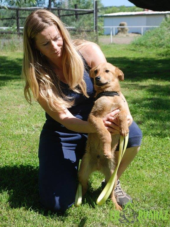 13315414_626090054211218_4867549891610219792_n