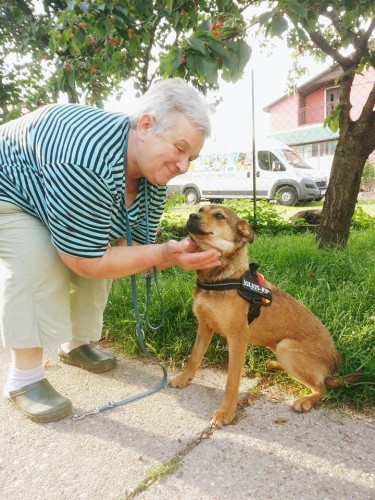 13319765_628741747279382_2545347757596724671_n