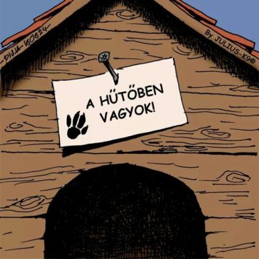 13501611_10204830828210446_5253845973746894725_n