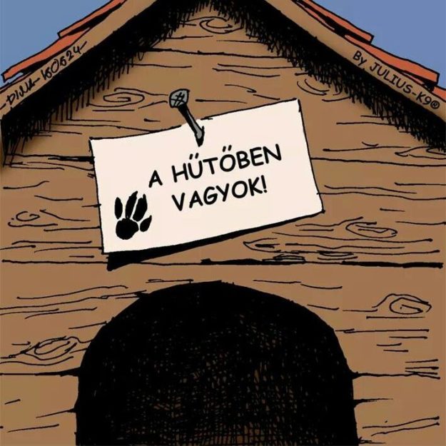 13501611_10204830828210446_5253845973746894725_n