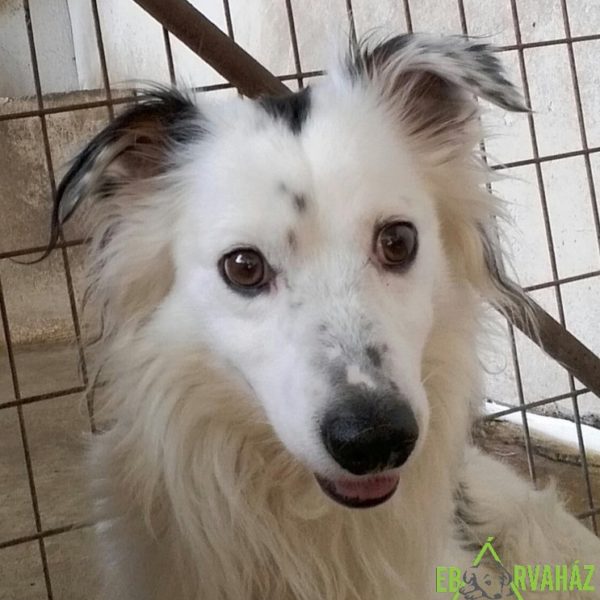 13579748_1144541268931854_712512118_o 13579748_1144541268931854_712512118_o