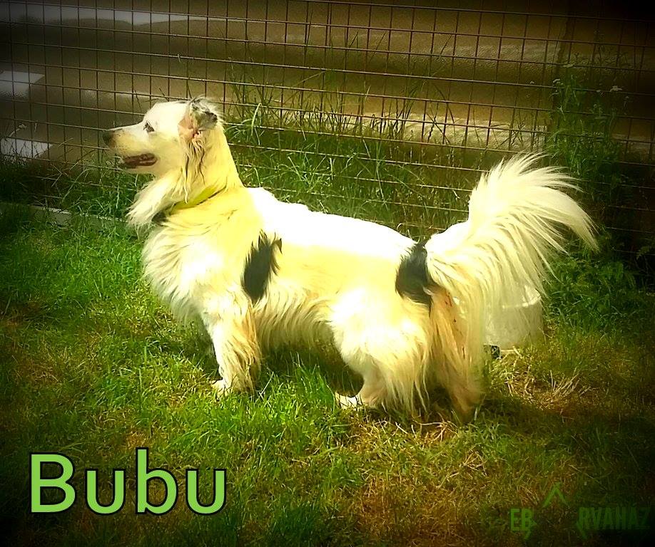 13620205_640071772813046_3486492945673713930_n