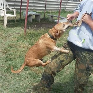 13711495_1154053151313999_1577826720_o 13711495_1154053151313999_1577826720_o