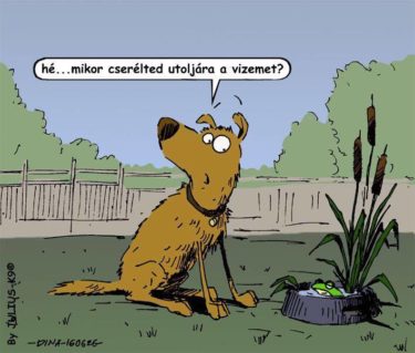 13884439_10210211294509324_1824017443_n