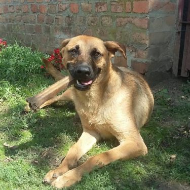 13892222_651245781695645_3598197982936917376_n