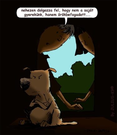 13886845_1652737068374968_4714279093018697443_n