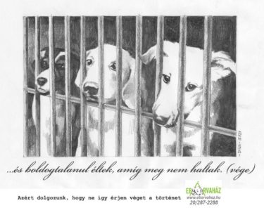 13912361_1651940201787988_7992816910890475981_n