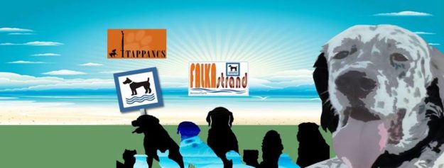 13912839_967083706723282_6657279666047375232_n