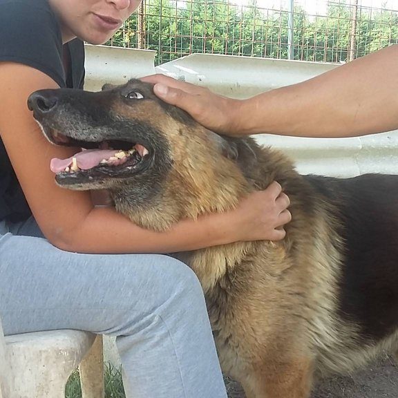 14037637_1178451072207540_576028734_o