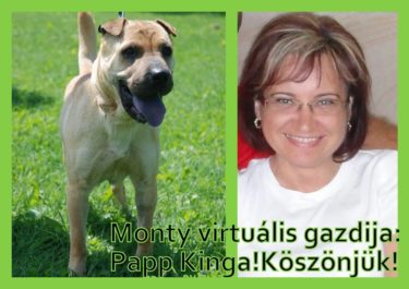 14079494_660176984135858_9208475140786408619_n