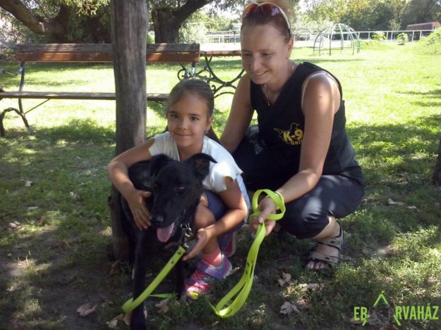 14079799_660785237408366_8838064663705005427_n