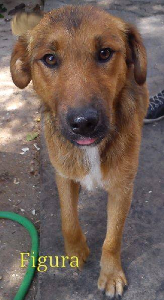 14089032_661233090696914_1077159991114141910_n