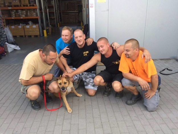 14089250_660798197407070_2049837206040874065_n