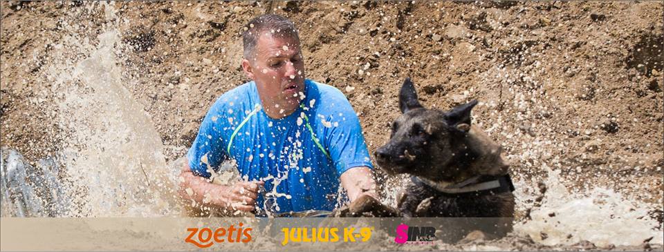 14199140_1153608301349310_1900053887506765309_n