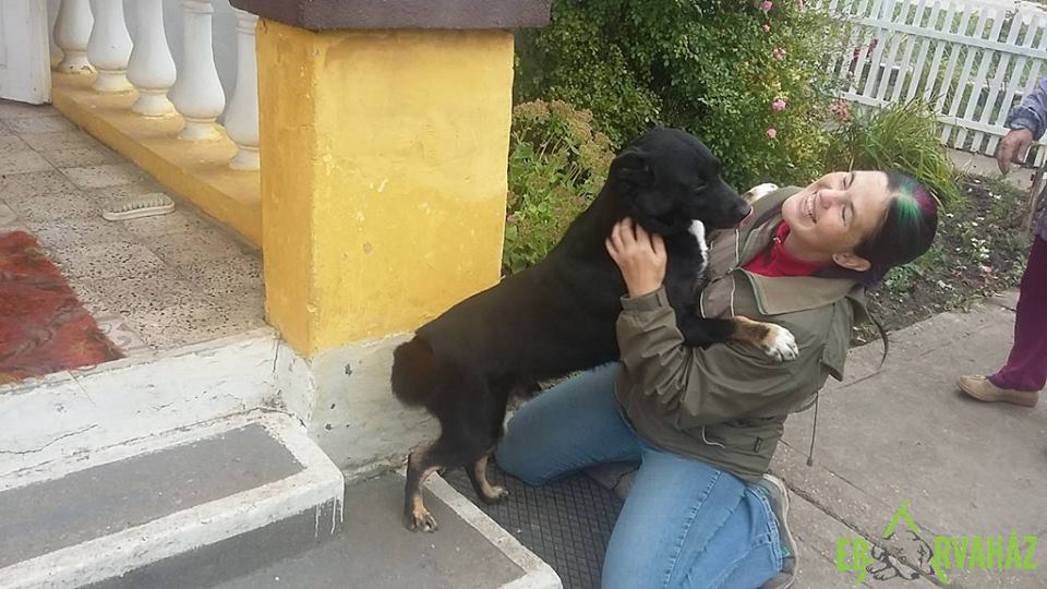 14650161_689784094508480_7184746098916858186_n