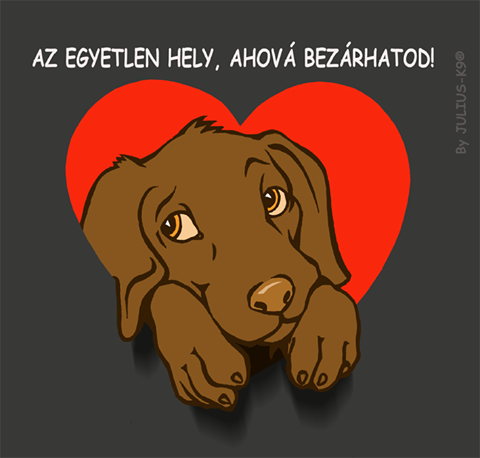 14690992_1037423369690072_5853267067443791956_n