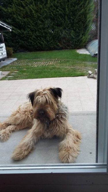 14721734_691498504337039_4313118557925011740_n