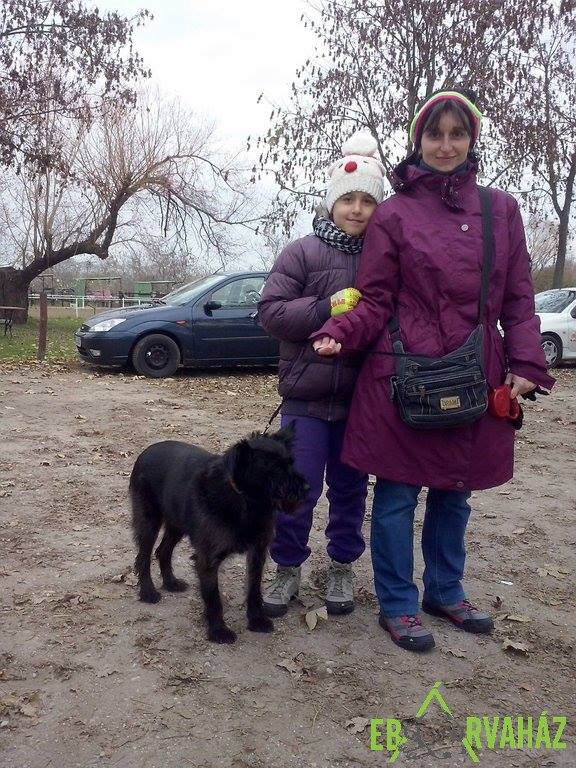 14980841_703669709786585_624584185167320492_n